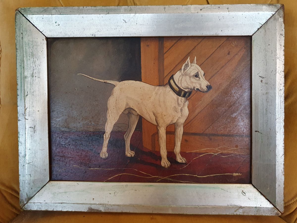 19th Century Oil On Board, Painting Of A Dog