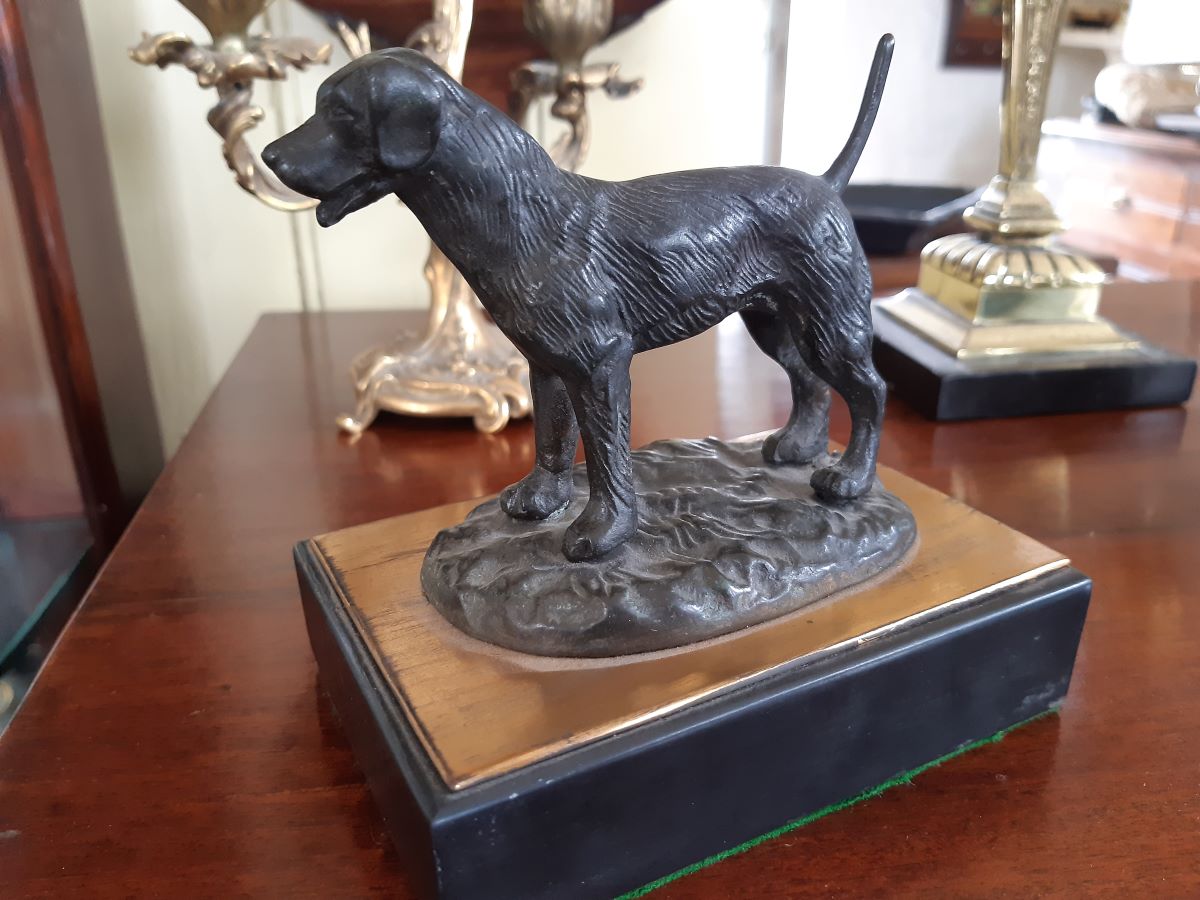 Bronze of a sporting dog